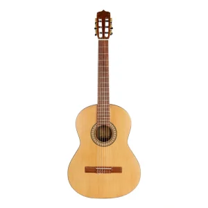 گیتار پارسی p70 | خرید از نت اول